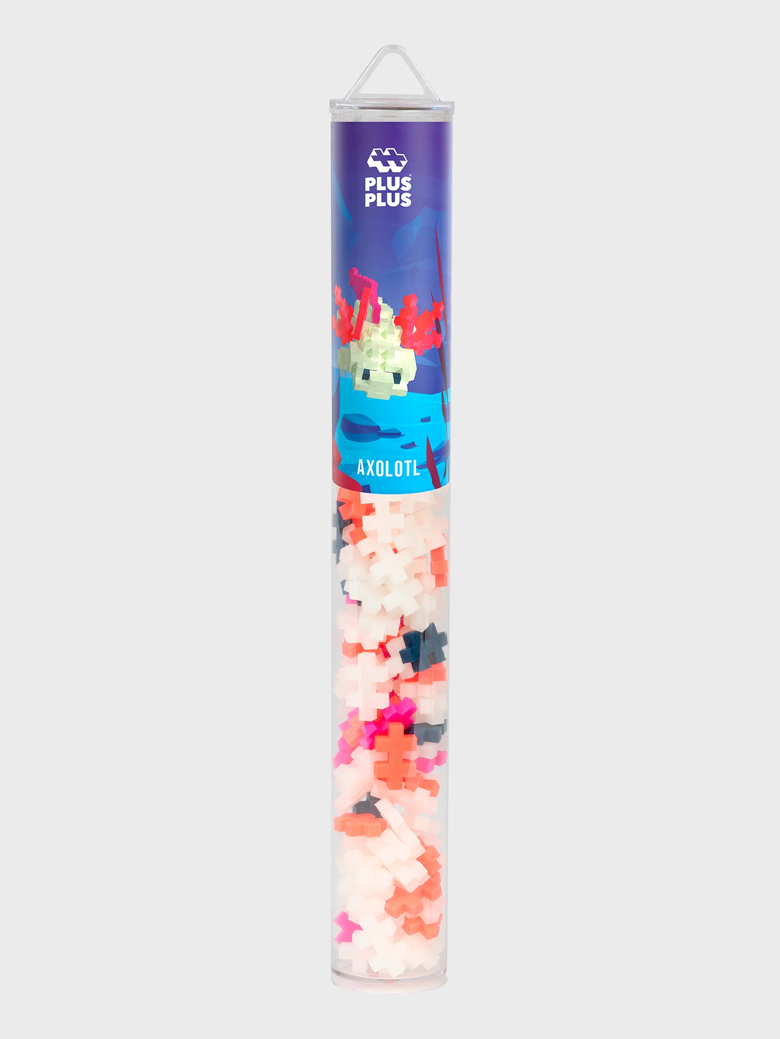 Axolotl - Image 4