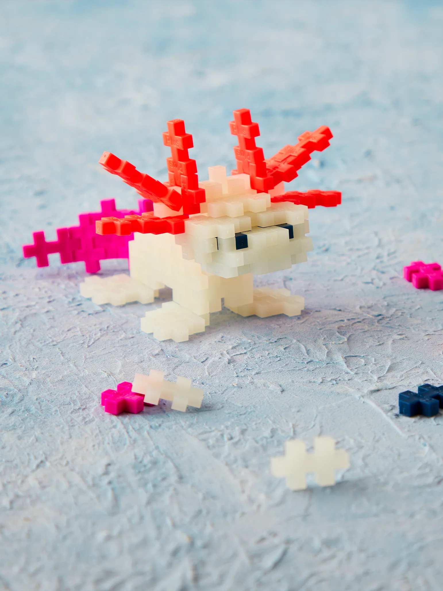Axolotl - Image 5