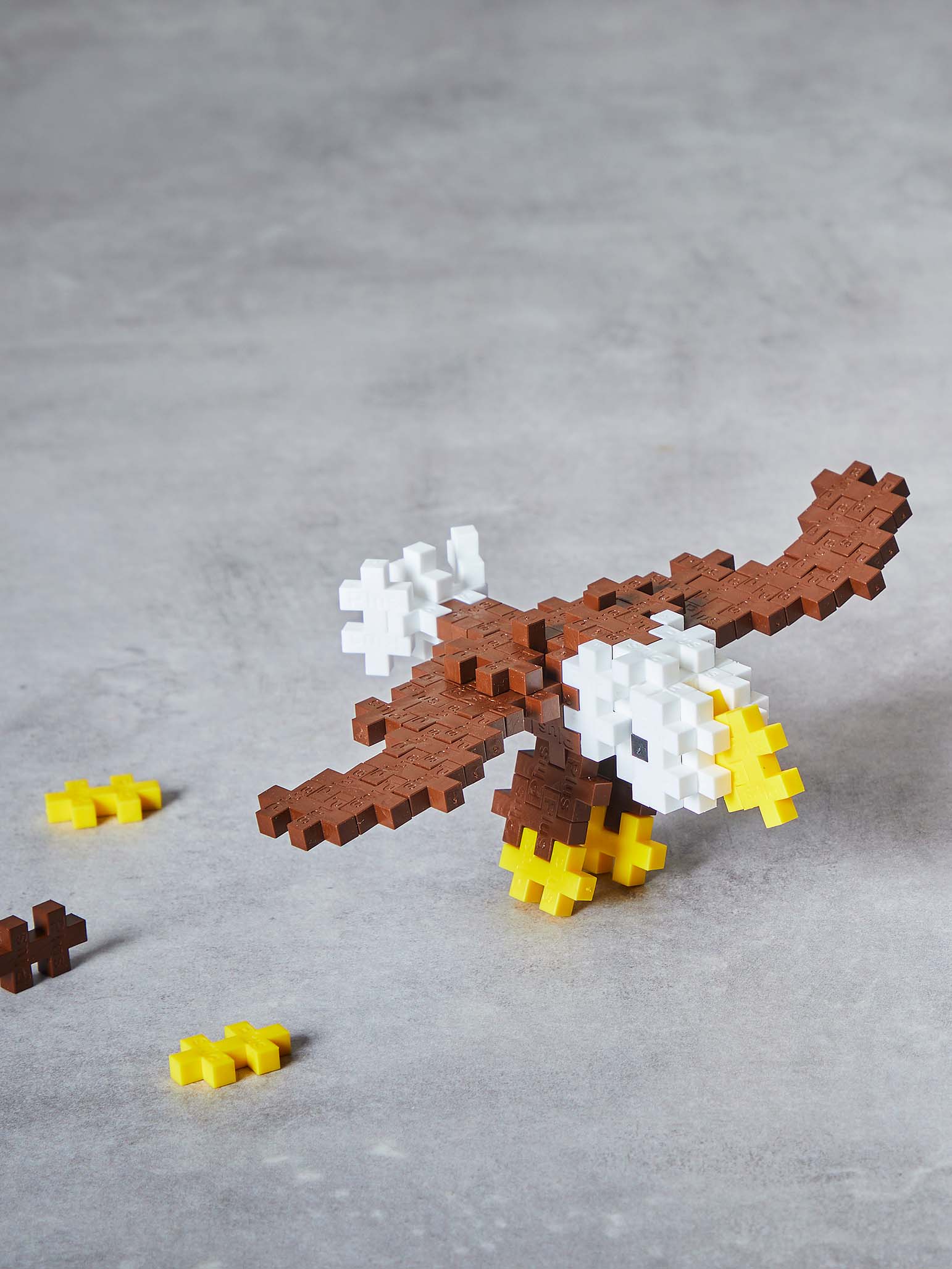 Eagle - Image 2