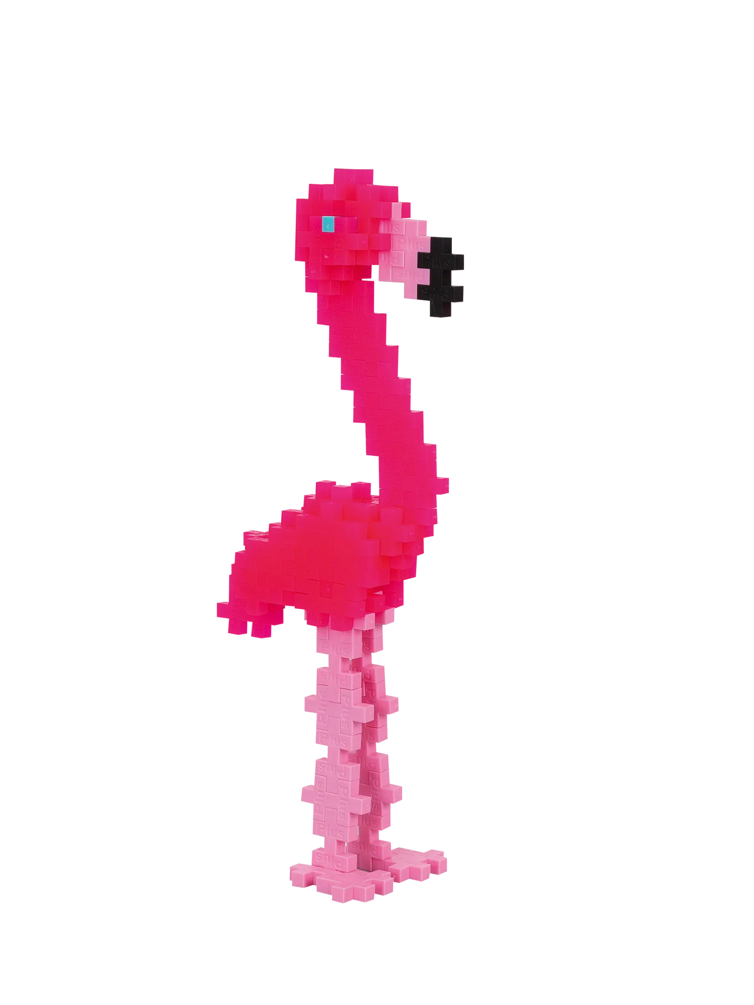 Flamingo - Image 3