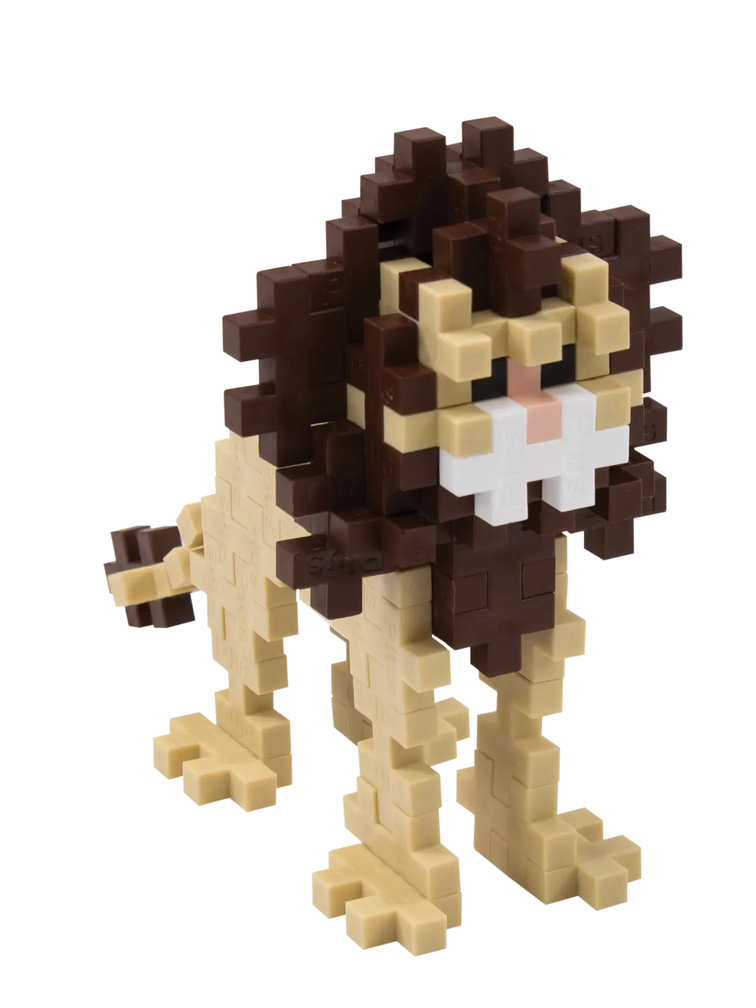 Lion - Image 2