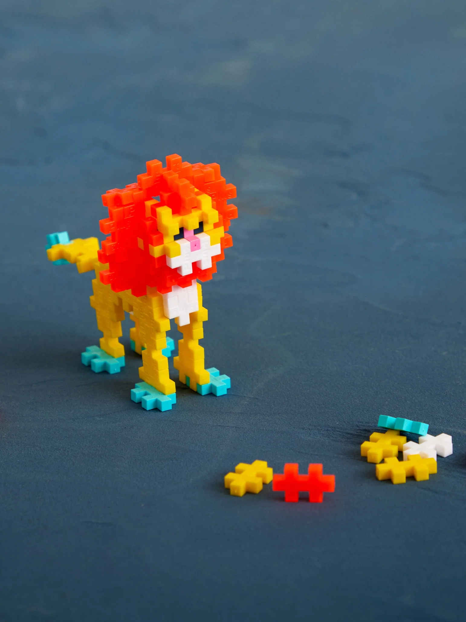 Lion - Image 2