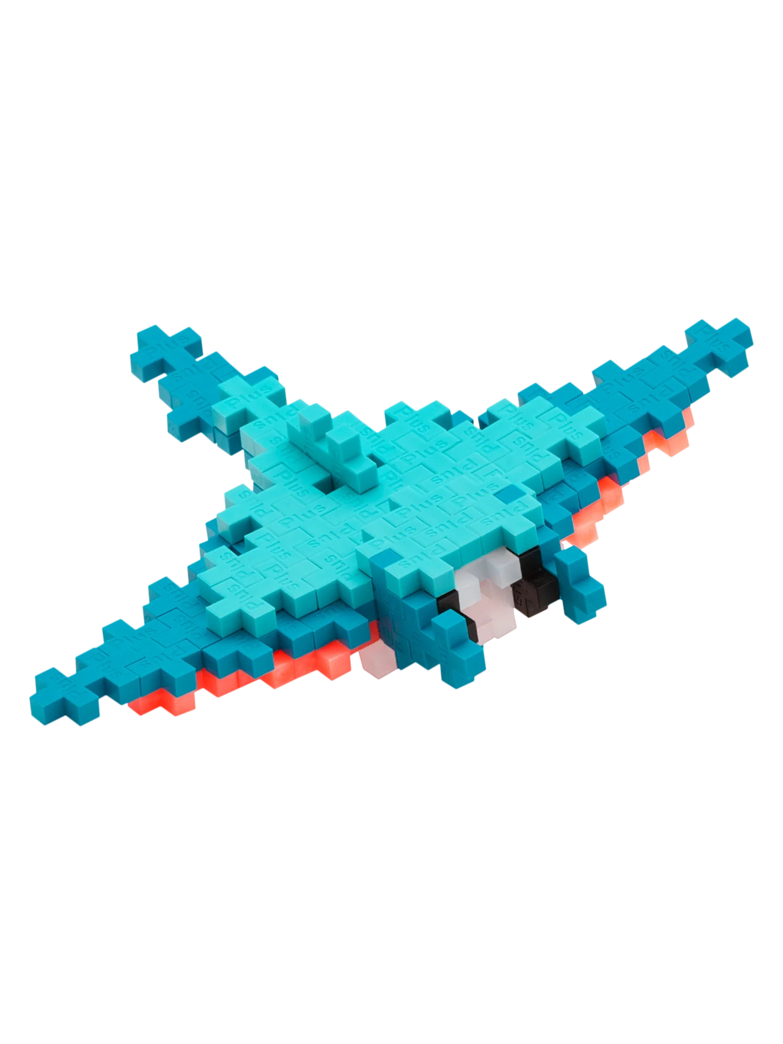 Manta Ray - Image 4