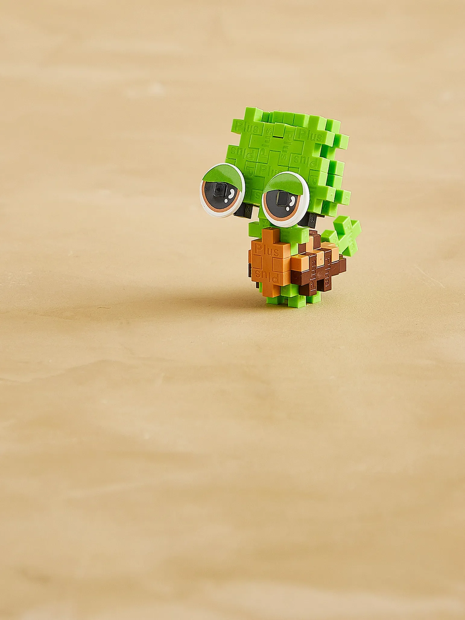 Pet Packet - Turtle - Image 4