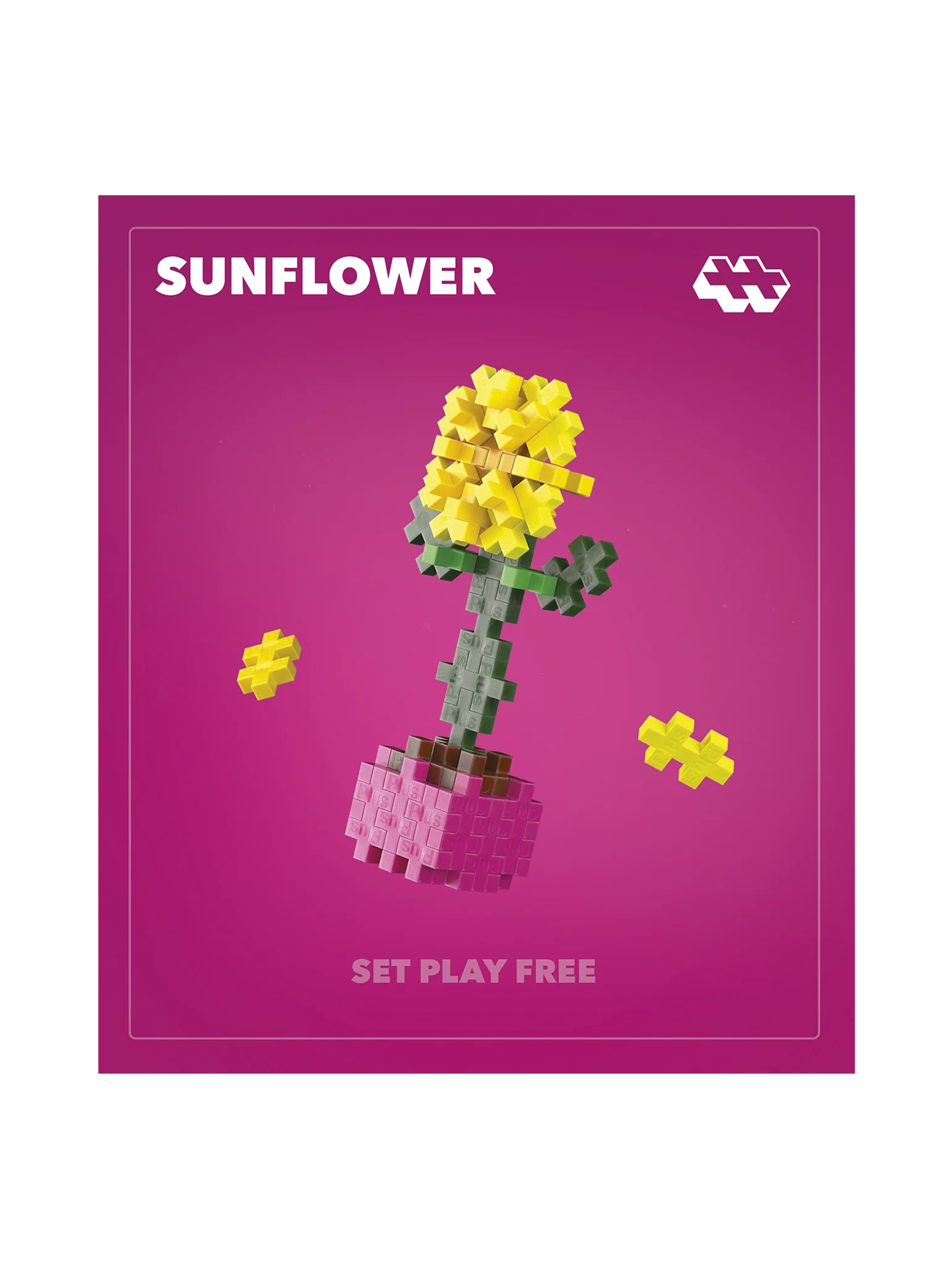 Sunflower - Image 6